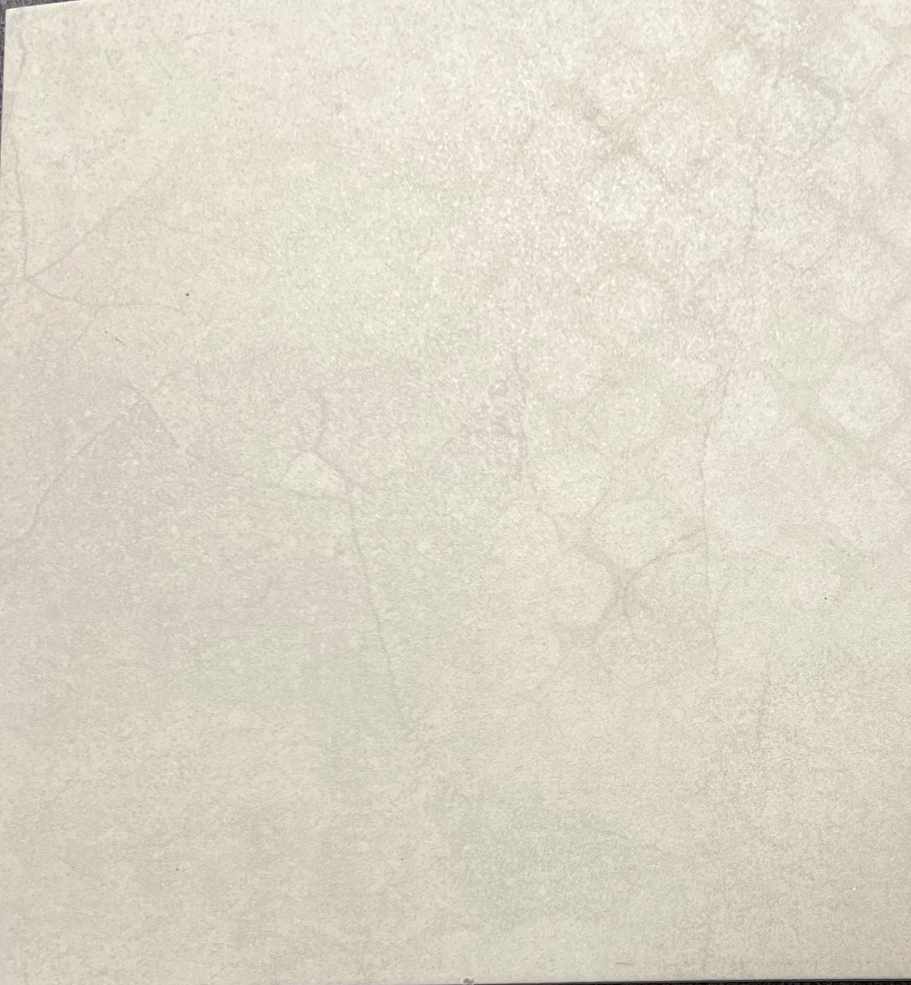 REGINA GREY R10 33/33
