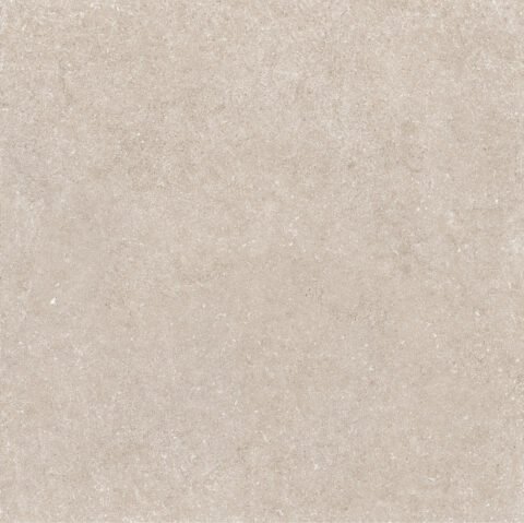 BRECCIA GREIGE 100/100 MAT