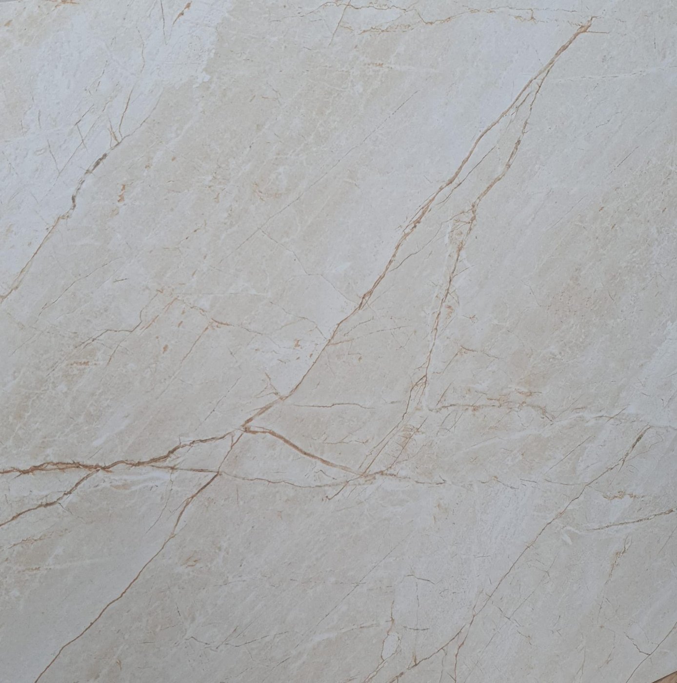 RIZINIA BEIGE MATT 80/80