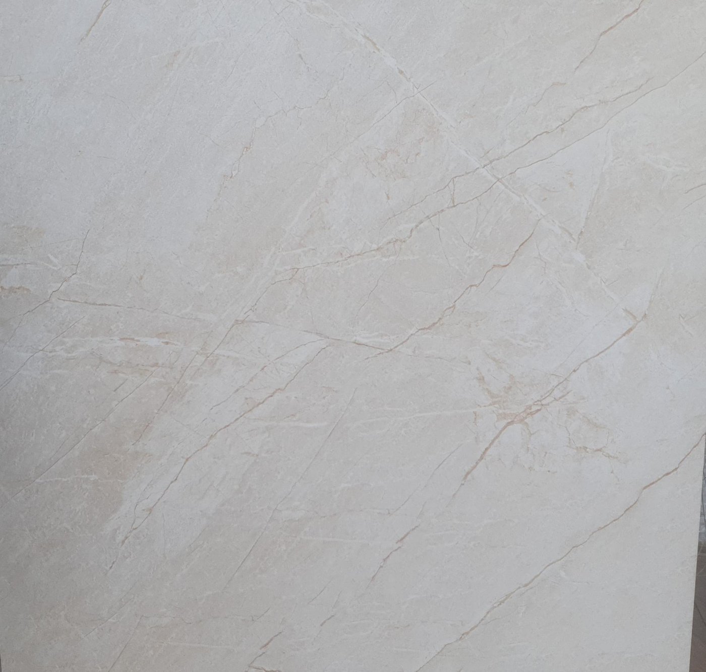 RIZINIA BEIGE MATT 100/100