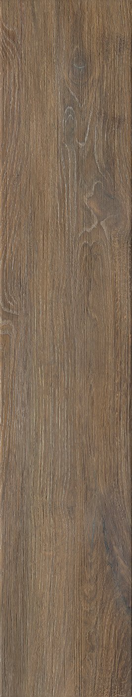TRUNK NUT MATT 23/120