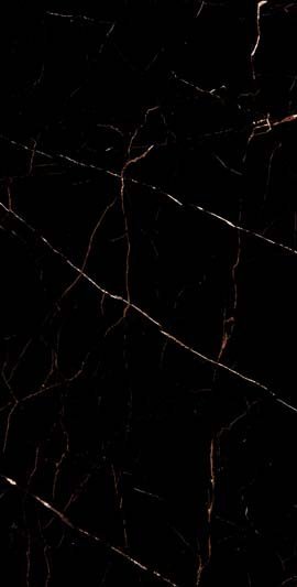CARNICO BLACK HIGH POLISH 60/120