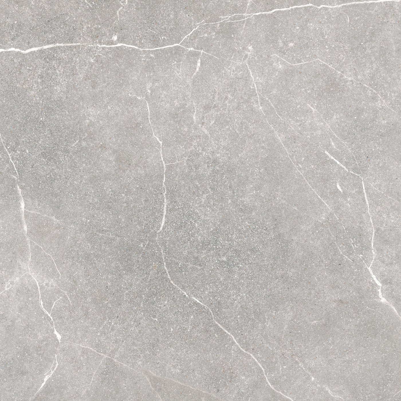 SOAPSTONE SILVER MAT 100/100
