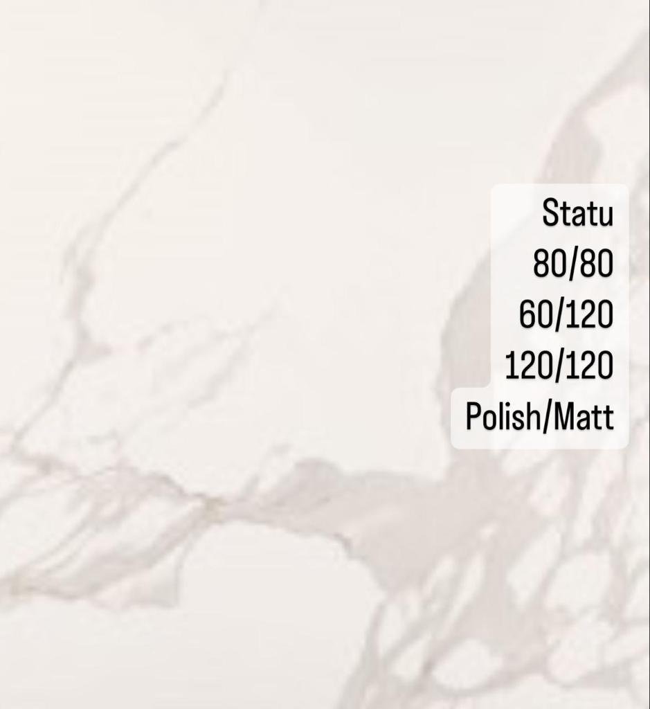 STATU CARRERA MATT 60/120