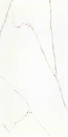 STATUARIO POLISH 120/240