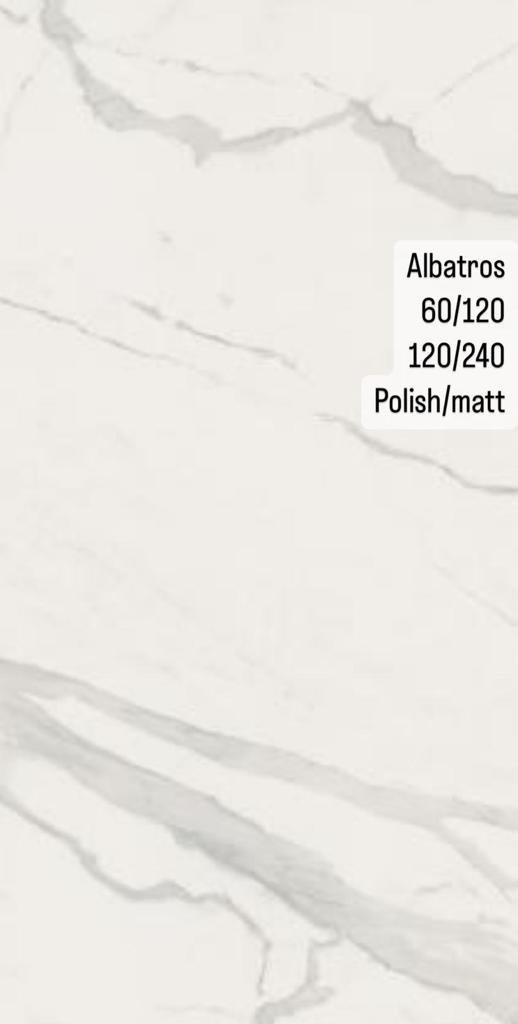 ALBATROS CARRERA POLISH 120/240