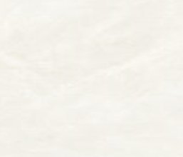 SUN WHITE 017 MATT 120/120