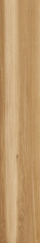 LF.OAK R11 20/120